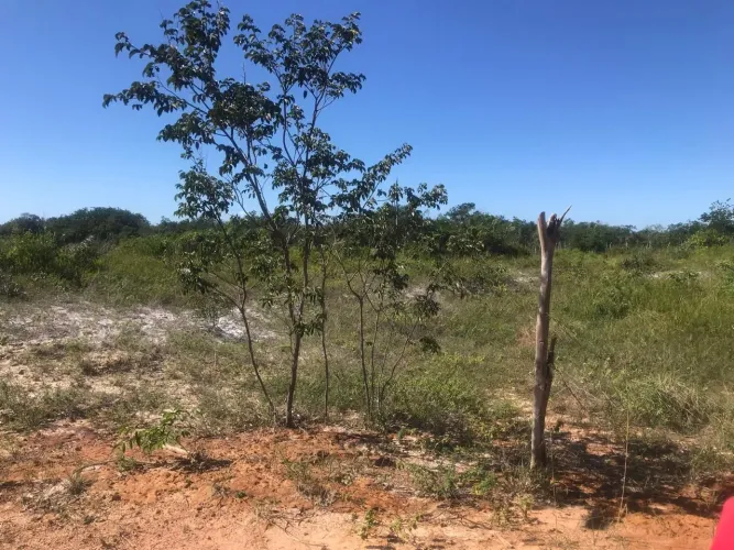 Vendo, troco terreno próximo ao povoado agulhadas pirambu 