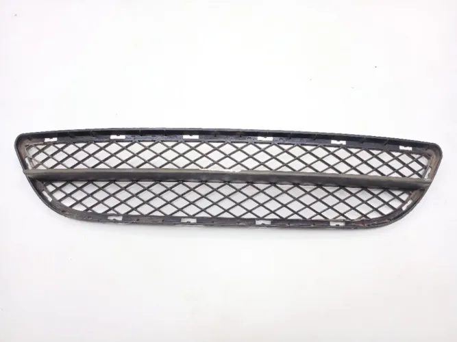 Grade Inferior Parachoque Dianteiro Bmw 320i 2.0 Asp 2007