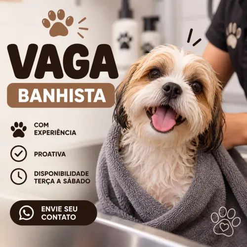 Vaga para banhista pet shop em bangu