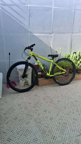 Absolute Rava Aro 29