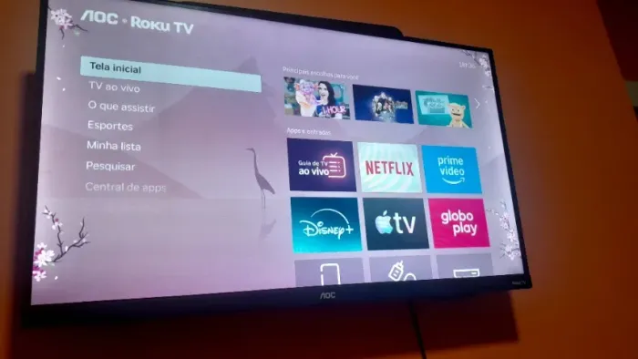 Roku tv