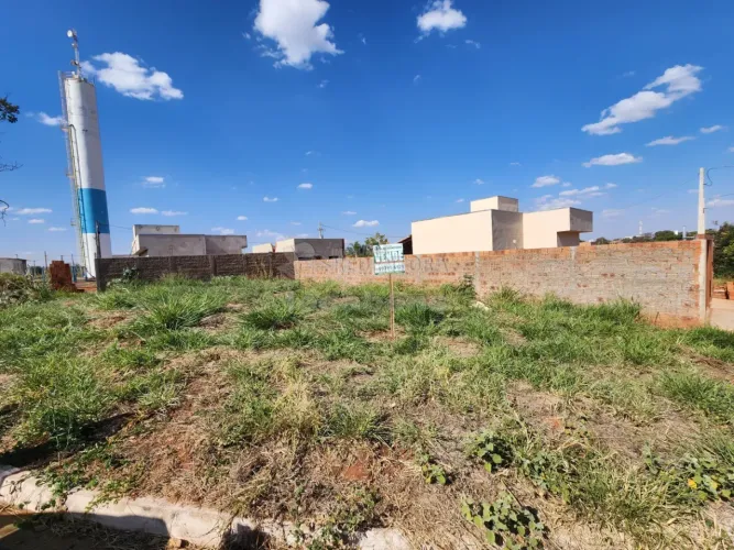Terreno Padrão em Palestina