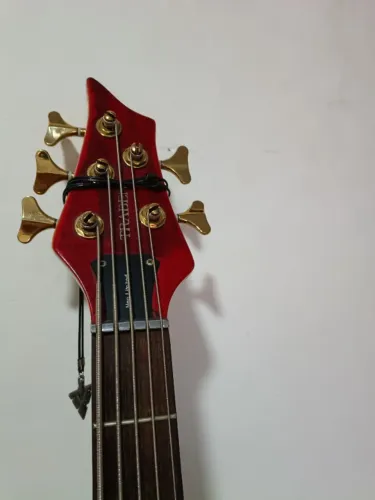 Contrabaixo 5 cordas