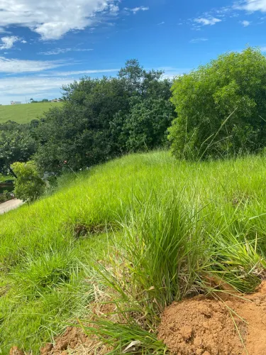 Vendo um pedaço de um paraíso