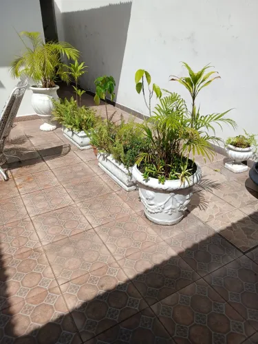 Vaso de planta cada vaso 25(falar com marilda *)