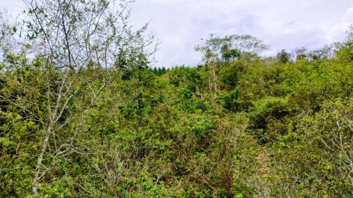 16 Tarefas de terra