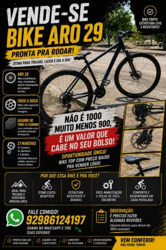 Bicicleta Lotus aro 29, Freio a Disco