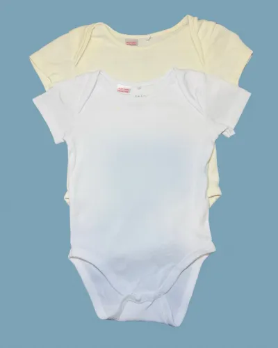 Pack com 2 bodies de bebê 9 a 12 meses