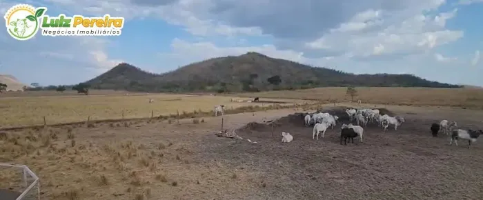 FAZENDA À VENDA EM NATIVIDADE TO 1.031 HECTARES (DUPLA APTIDÃO)