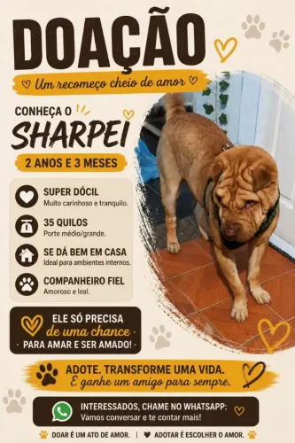 Doação
