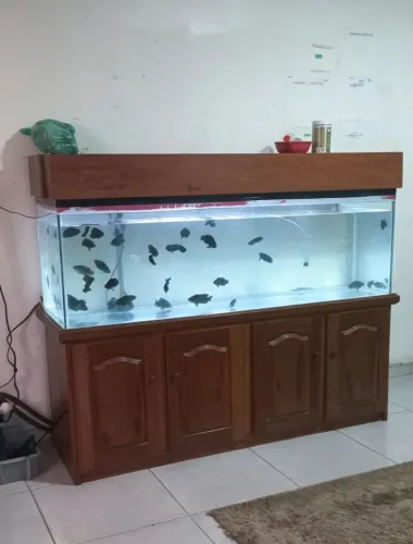 Aquario a venda