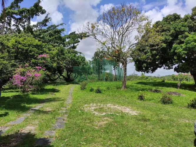 Terreno Comercial para Venda em Moreno, Souza Leão