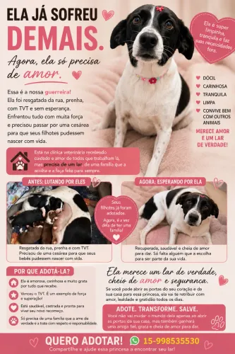 ? ELA SÓ PRECISA DE UMA FAMÍLIA PARA CHAMAR DE SUA! ?