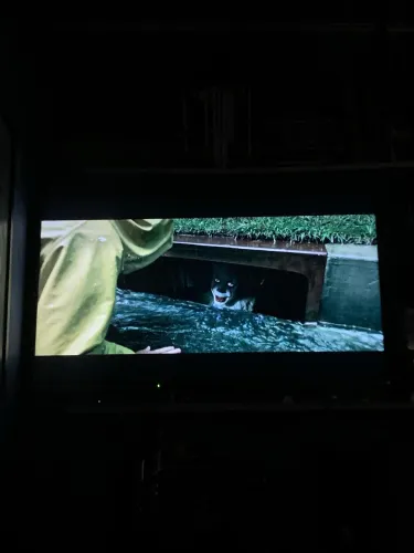 Televisão Panasonic 43 polegadas