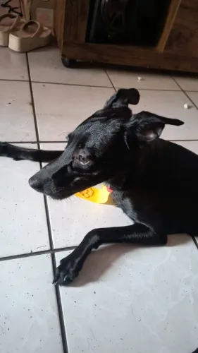Doação