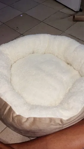 Caminha de gato
