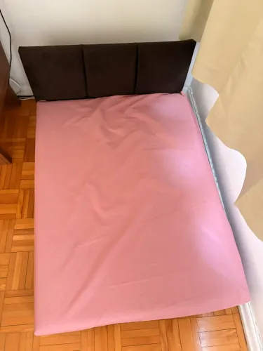 Cama pet média