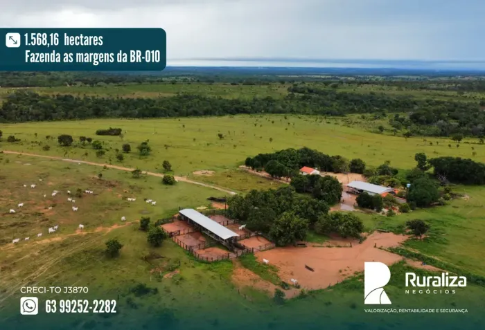 Fazenda no Tocantins | 1.568 ha | 860 ha Agricultáveis | Área Já em Soja e Pastagem | Rica