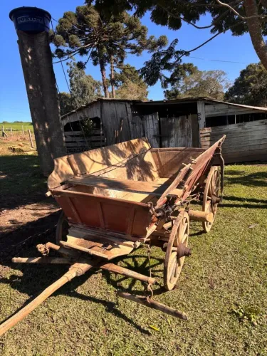 Carroça antiga original