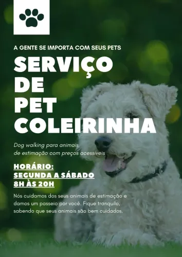 Passeio com o seu cachorro na Asa Norte - Preço Acessível e seu dog volta bem feliz!