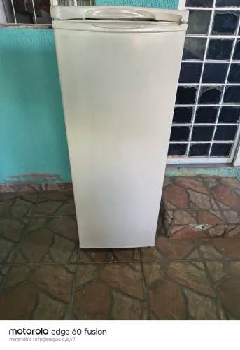 Freezer Electrolux 6 GV TD ?