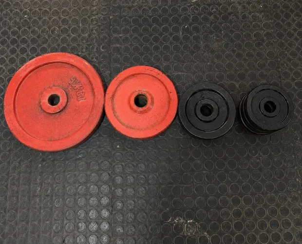 Anilha Peso Academia Musculação 10kg 4kg 2kg 1kg