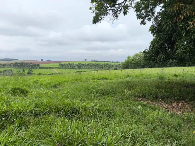 Fazenda dupla aptidão em Cássia Minas Gerais