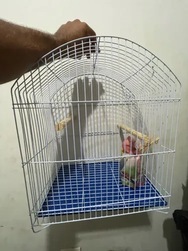 Gaiola para passarinho