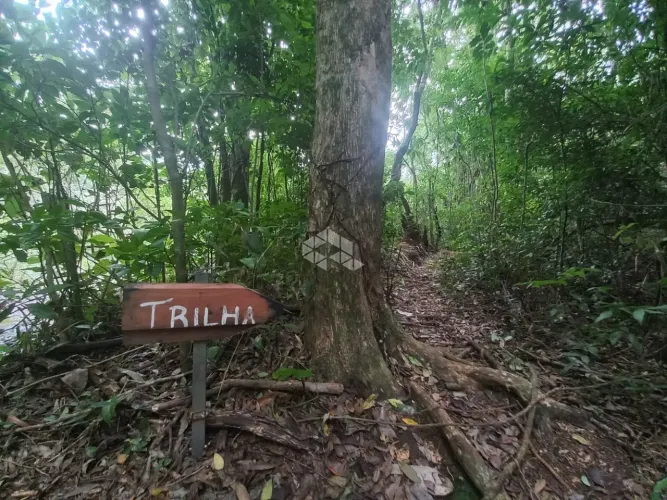 Sítio 3 hectares com cascata em Nova Petrópolis na serra gaucha