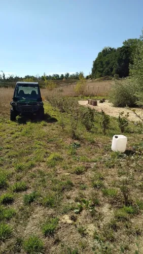 Serviços de limpeza de terrenos