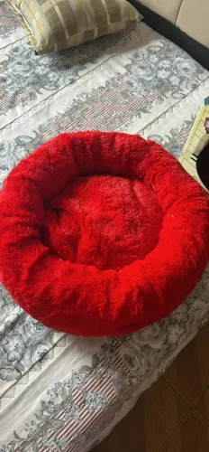 Duas caminhas de luxo pra Cachorro ou gatos