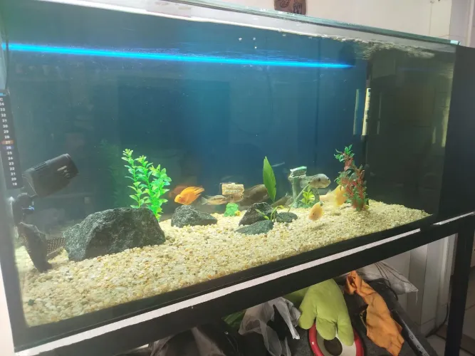 Aquário completo 330L