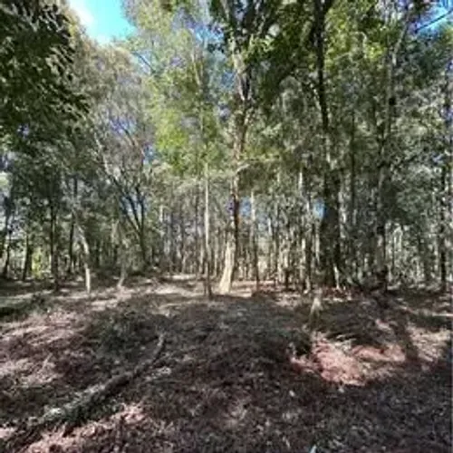 Terreno à Venda no Bairro Dona Francisca  São Bento do Sul/SC