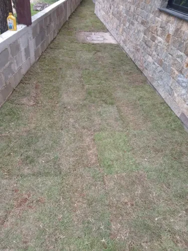 Plantação de grama e manutenção de jardim