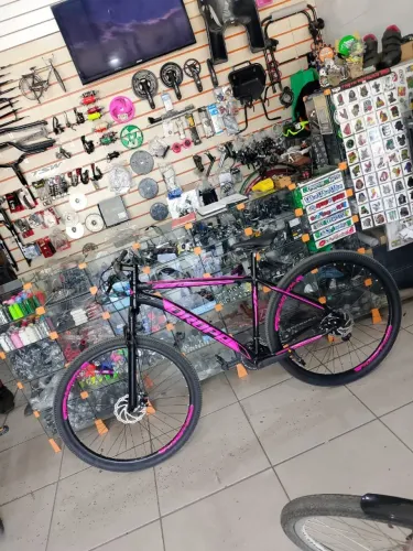Bicicleta