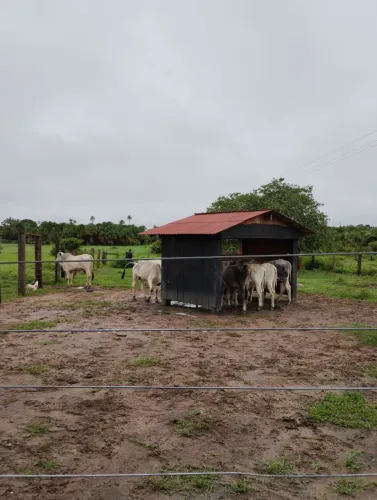 Fazenda no Roxinho 