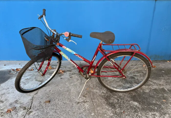 Bicicleta Poti