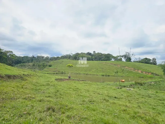 Sítio/Chácara Rural à Venda em Gaspar (Macucos) Aceita Permuta