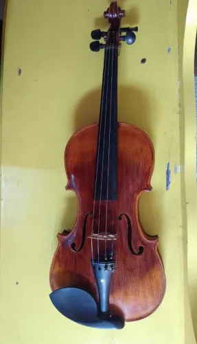 Violino Eagle VK-544 4/4 (Fundo Inteiro) - Totalmente Ajustado por Luthier