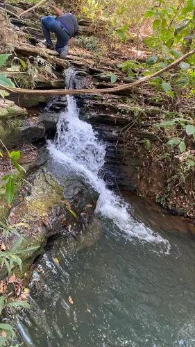 Chácara de 20mil mt com córrego cercado e energia em Cristianopolis!