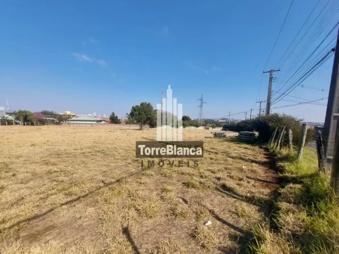 Locação - Terreno, 610 m², Próximo à RPC Ponta Grossa, Boa Vista.
