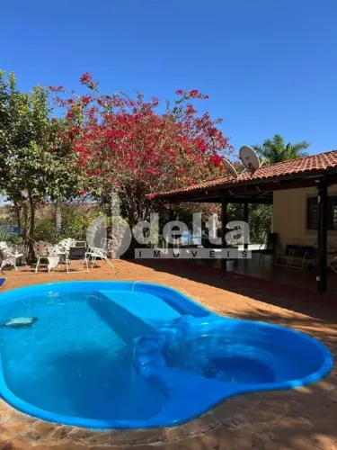 Chácara disponível para locação e venda na Zona Rural de Uberlândia em Uberlândia-MG