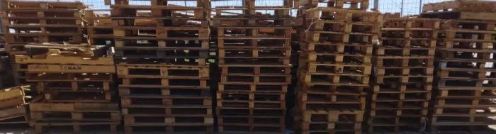 Pallets de Madeira