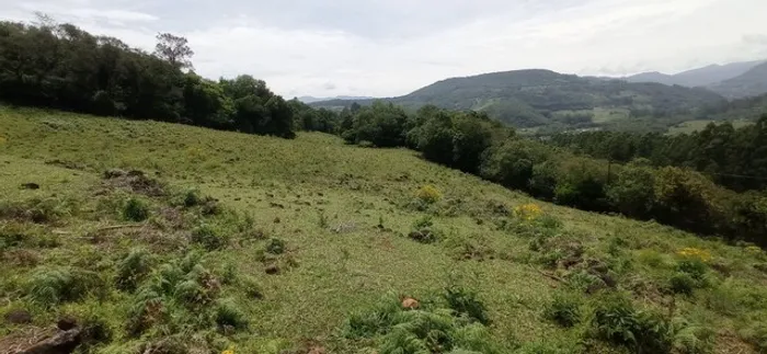 Terreno 3 hectares em Rolante RS Potreiro Lugar alto Vista bonita Estrada 