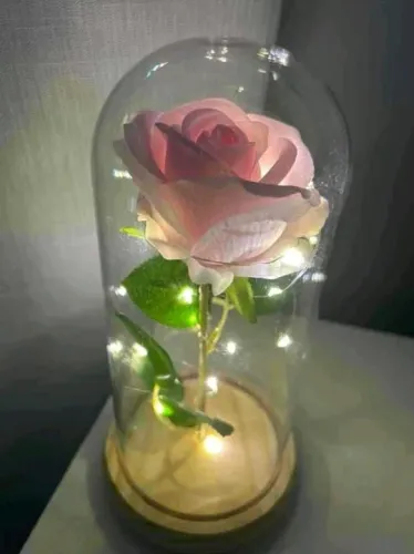 Rosa bela e a fera encapsulada 22cm