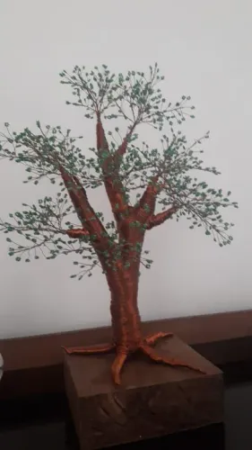 Bonsai,bonzai,Arranjo permanente