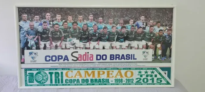 Quadro Palmeiras Campeão da copa do Brasil 2015