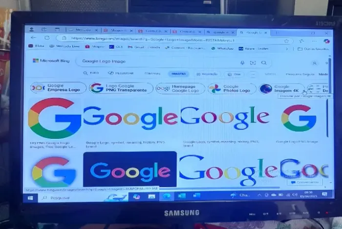 Monitor Samsung 19 S19c301f C/ Fonte E Cabo Vga Preto - Usado