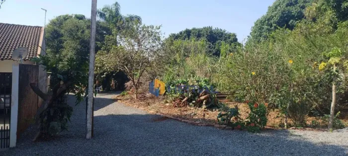 Terreno à venda, 2500 m² por R$ 2.630.000,00 - Jardim Alvorada - Maringá/PR