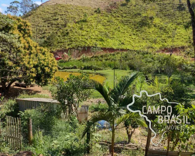 CHÁCARA 5.000M² EM JAMBEIRO !